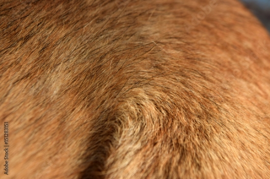 Picture of 151283151