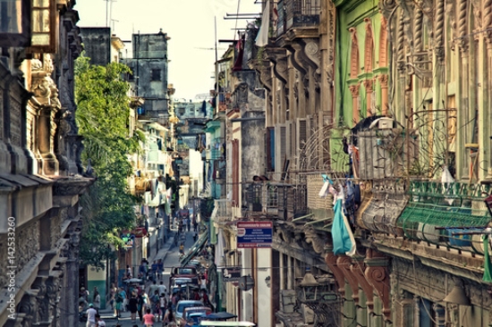 Picture of 142533260