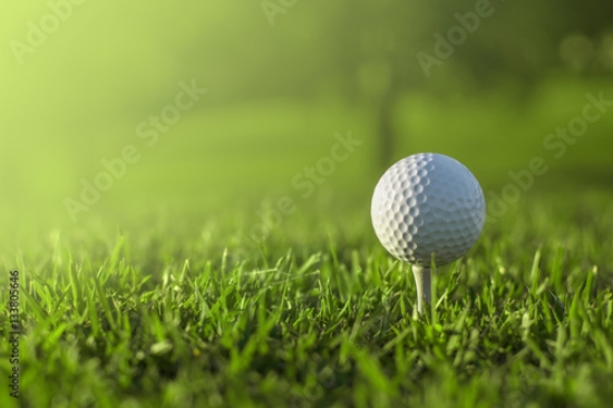 Picture of 133805646