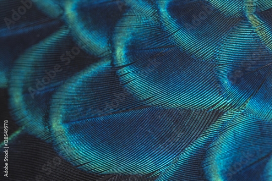 Picture of 128549978