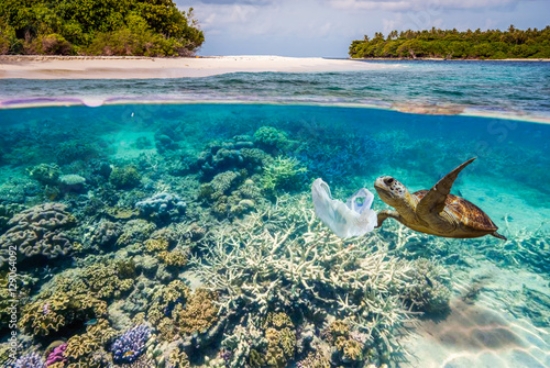 Picture of 129064092