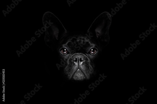 Picture of 120583453