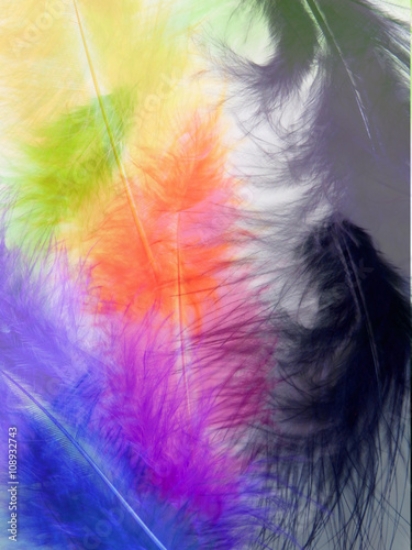 Picture of 108932743