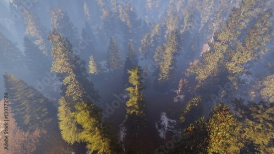 Picture of 130373586