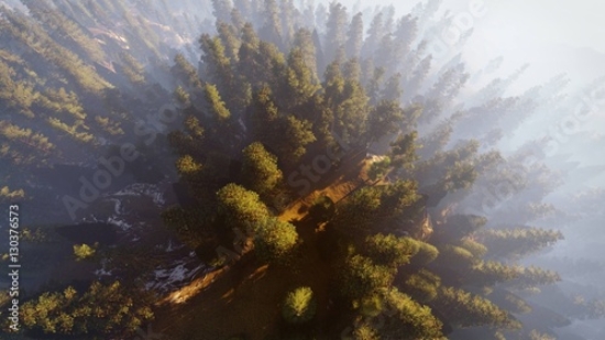 Picture of 130376573