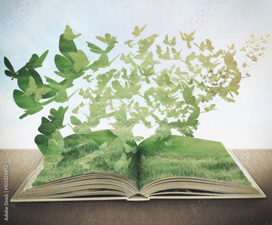 Picture of 103628852