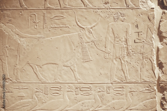 Picture of 141032622