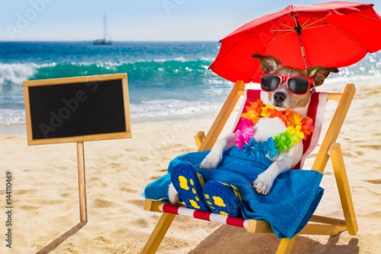 Picture of 144110469