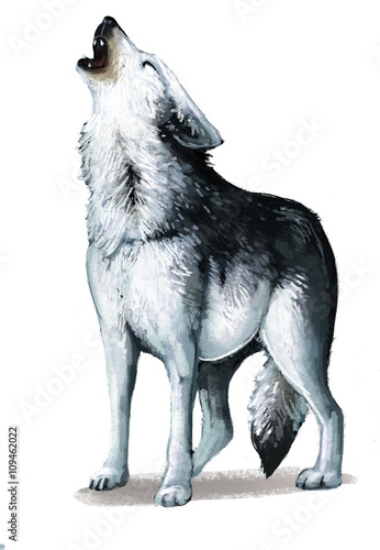 Picture of 109462022