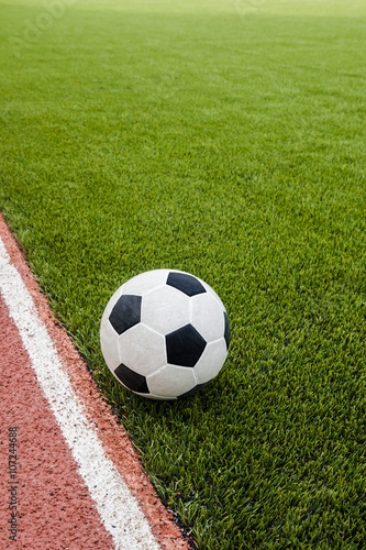 Picture of 107244688