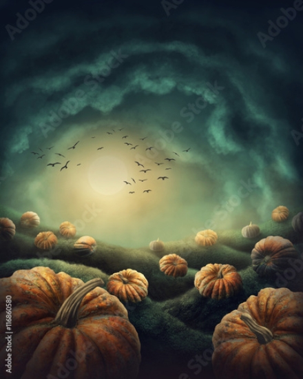 Picture of 116860580