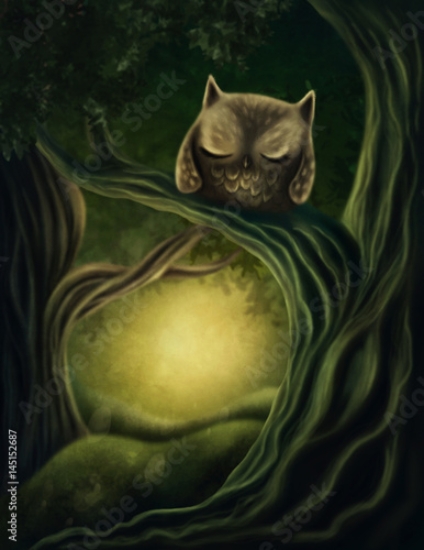 Picture of 145152687