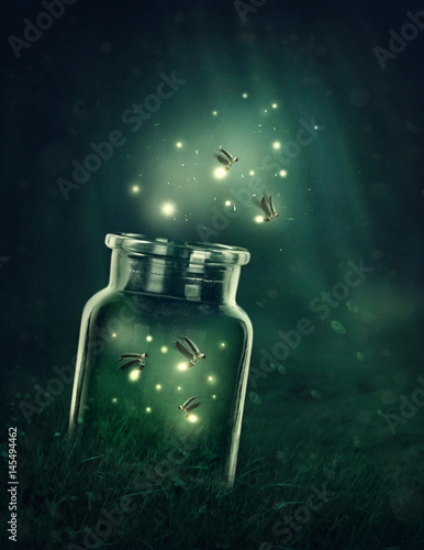 Picture of 145494462