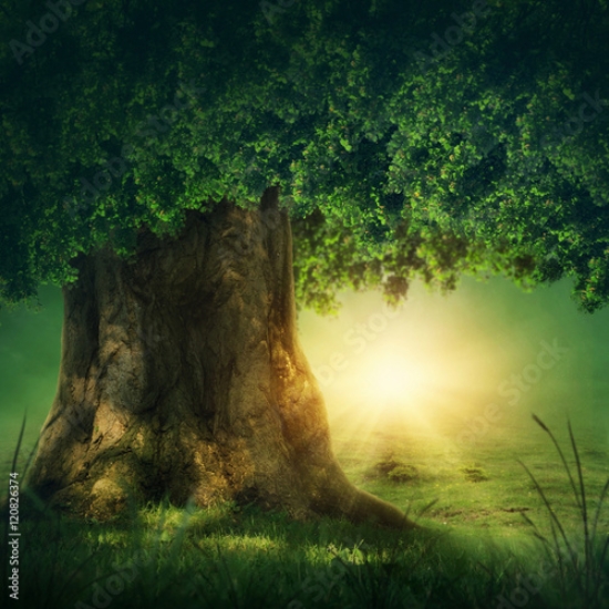 Picture of 120826374