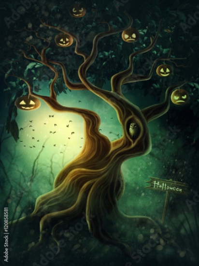 Picture of 120858581