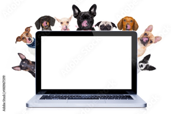 Picture of 140967599