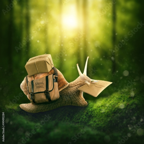 Picture of 141493284