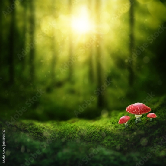 Picture of 141494016