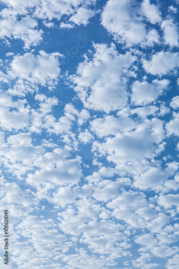 Picture of 100626144