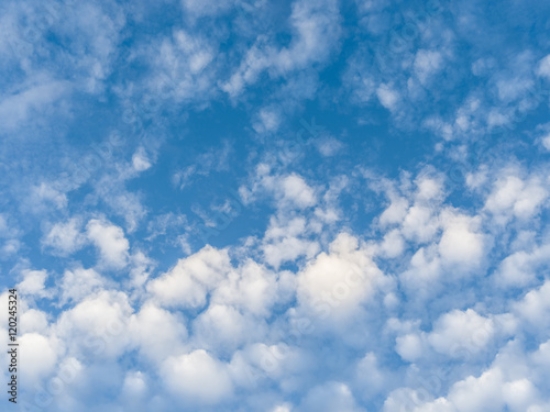 Picture of 120245324