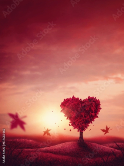 Picture of 137682469