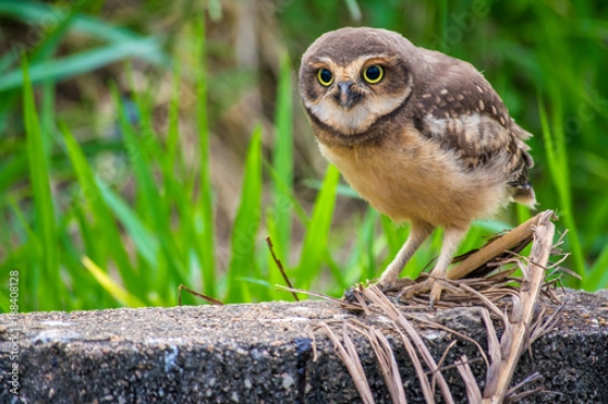 Picture of 188408128